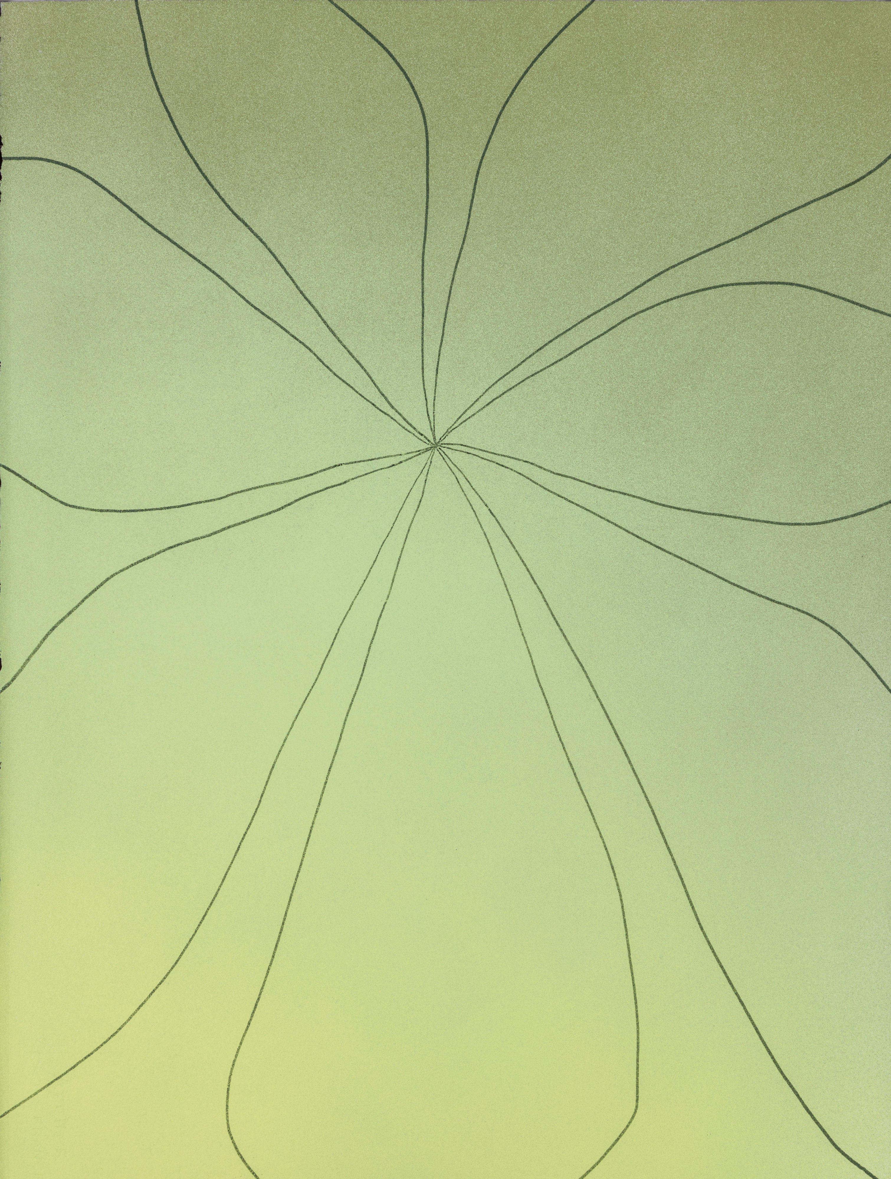 Expansion Portrait in Limes, (Floral)